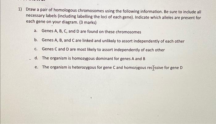 Solved a. 1) Draw a pair of homologous chromosomes using the | Chegg.com