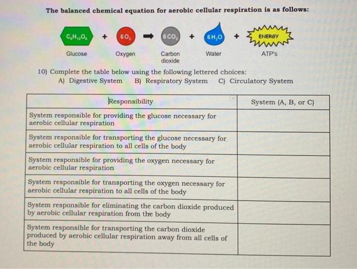 Solved The balanced chemical equation for aerobic cellular | Chegg.com