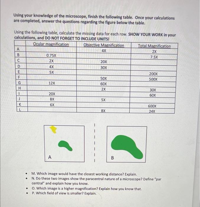 Solved Using your knowledge of the microscope, finish the | Chegg.com