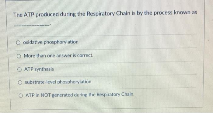 Solved The ATP produced during the Respiratory Chain is by | Chegg.com