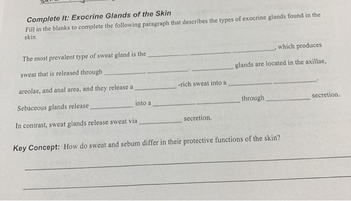 Solved Complete T Exocrine Glands Of The Skin Fill In The Chegg Com