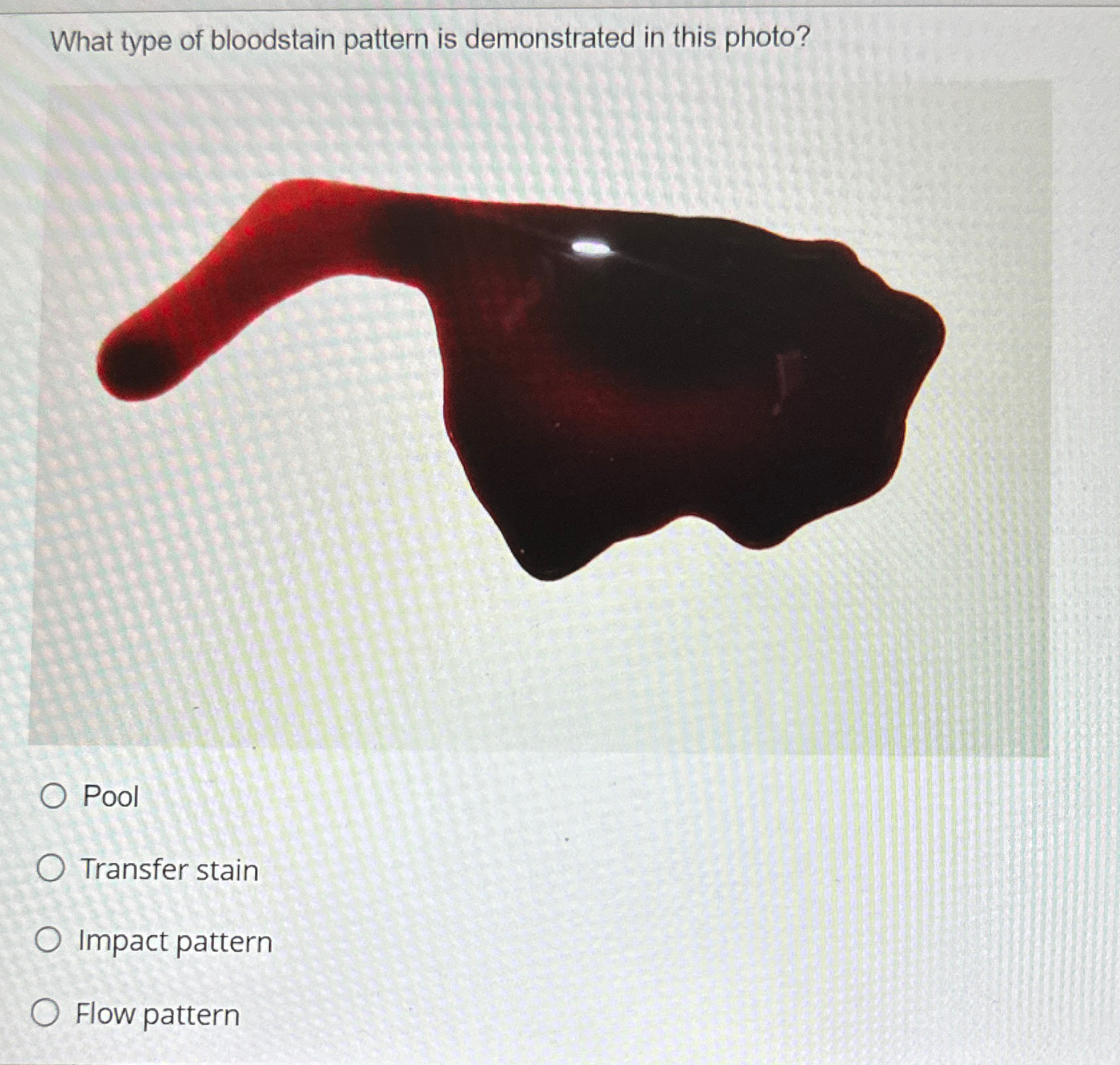 Solved What type of bloodstain pattern is demonstrated in | Chegg.com