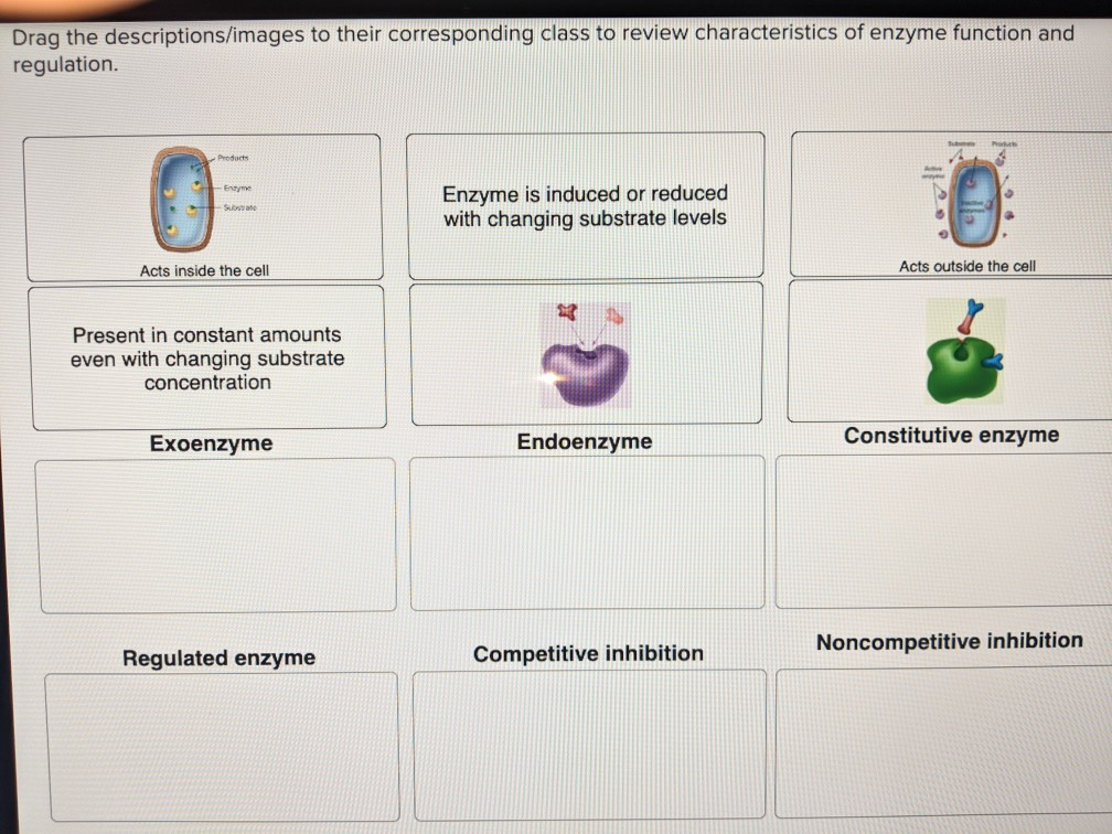 Solved Drag the descriptions/images to their corresponding