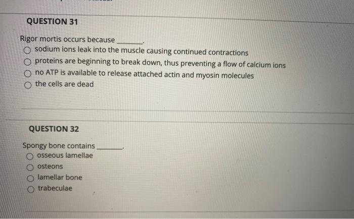 Solved: QUESTION 23 For Intramembranous Ossification To Ta... | Chegg.com