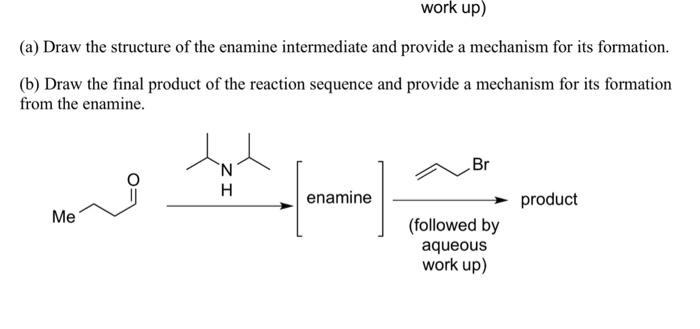 Solved (a) Draw the structure of the enamine intermediate | Chegg.com