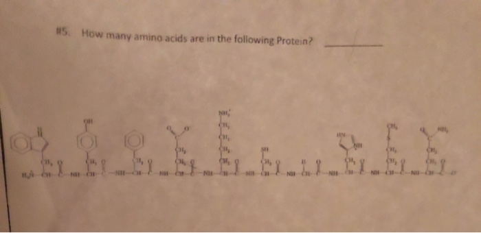 Solved 15. How many amino acids are in the following | Chegg.com
