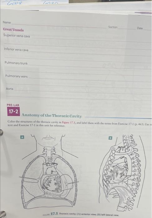 Complete The Following Exercises Prior To Coming To | Chegg.com