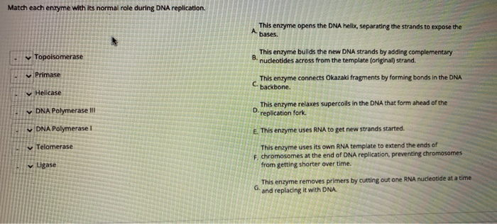 Solved please help!...The first question, the answer choices | Chegg.com