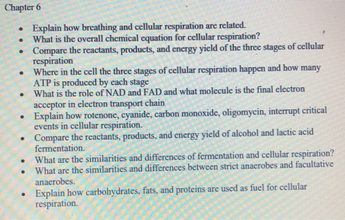 Chapter 6 Explain How Breathing And Cellular Chegg Com