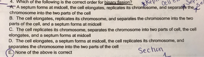 Solved 4. Which Of The Following Is The Correct Order For