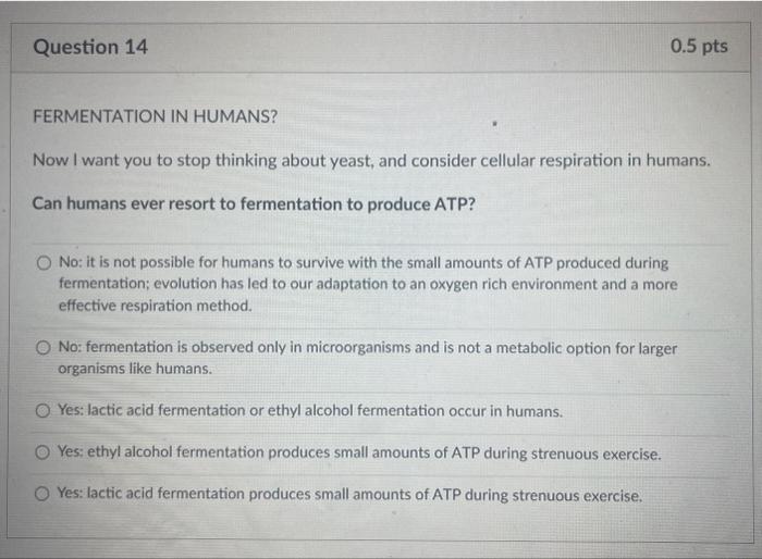 Solved FERMENTATION IN HUMANS? Now I want you to stop