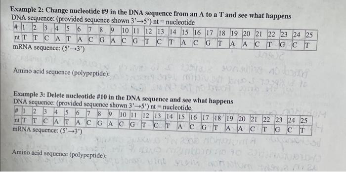 Solved Example 2: Change nucleotide \#9 in the DNA sequence | Chegg.com