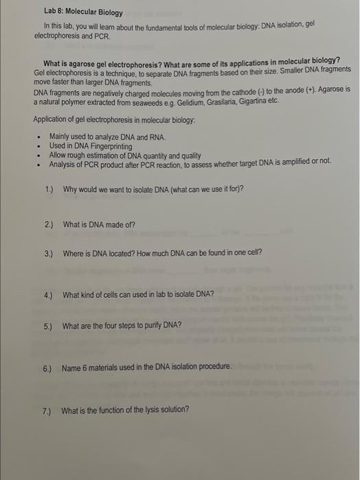 Solved Lab 8: Molecular Biology In this lab, you will leam | Chegg.com