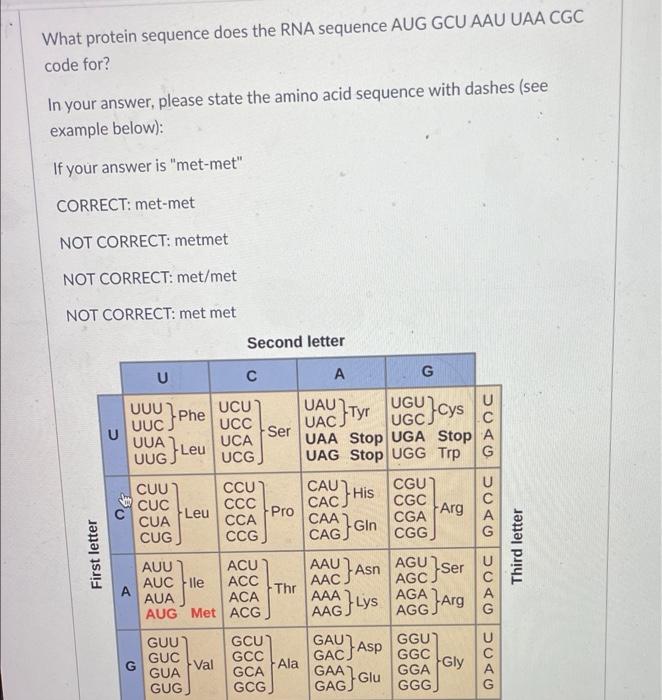 Solved What protein sequence does the RNA sequence AUG GCU | Chegg.com