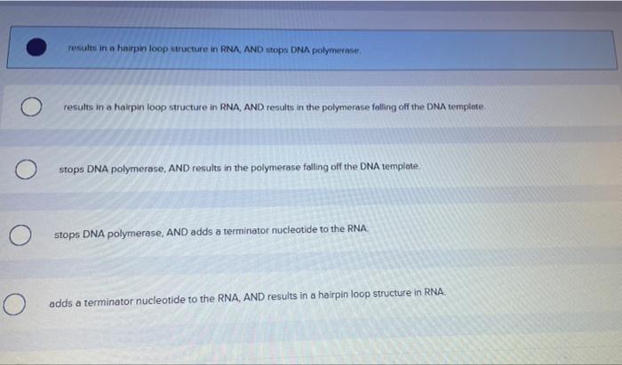 Solved The transcription terminator Multiple Choice results | Chegg.com