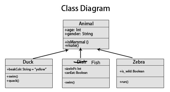 Solved Class Diagram Animal +age: Int +gender: String | Chegg.com