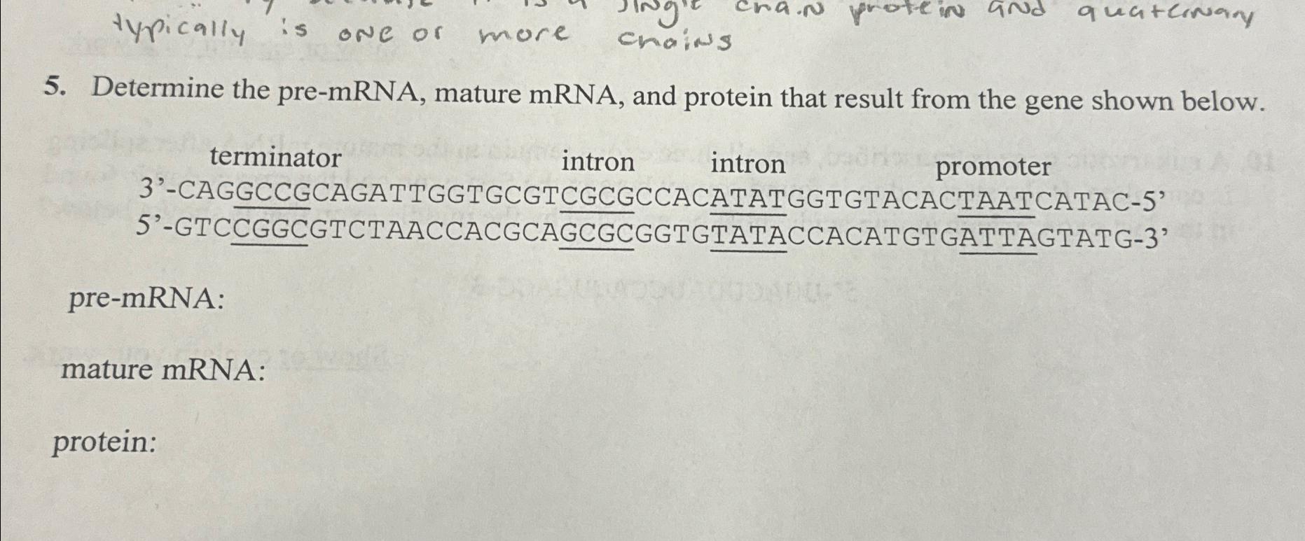 Cracking The Code How Pre Mrna Starts Protein Production - y0cl3or