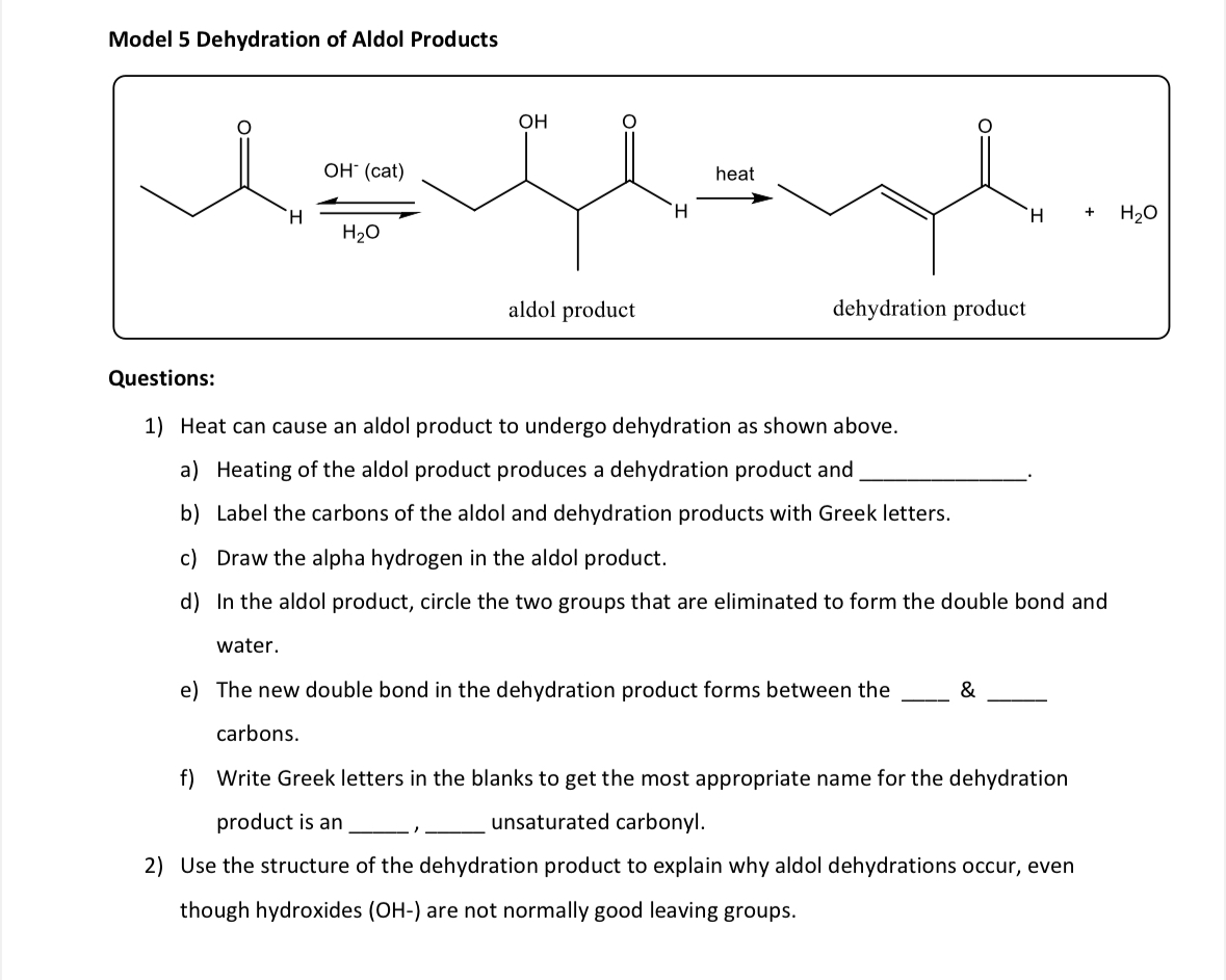 Solved Model 5 ﻿Dehydration of Aldol ProductsQuestions | Chegg.com