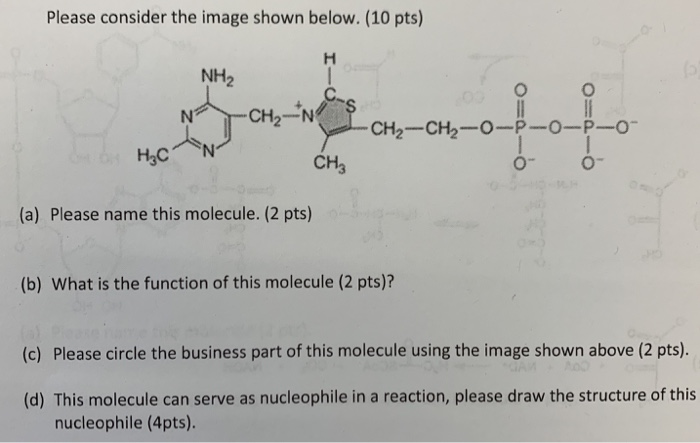 Solved Please Consider The Image Shown Below 10 Pts Nh Chegg Com