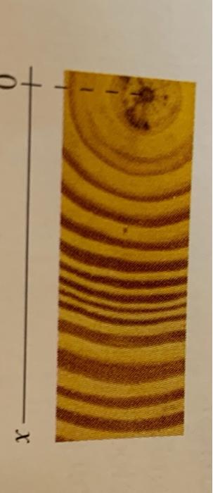 Solved acceleration. 3. Figure Q2.3 shows growth rings in a | Chegg.com