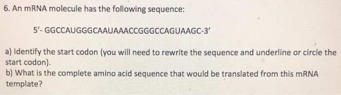 Solved 6. An mRNA molecule has the following sequence: 5'- | Chegg.com