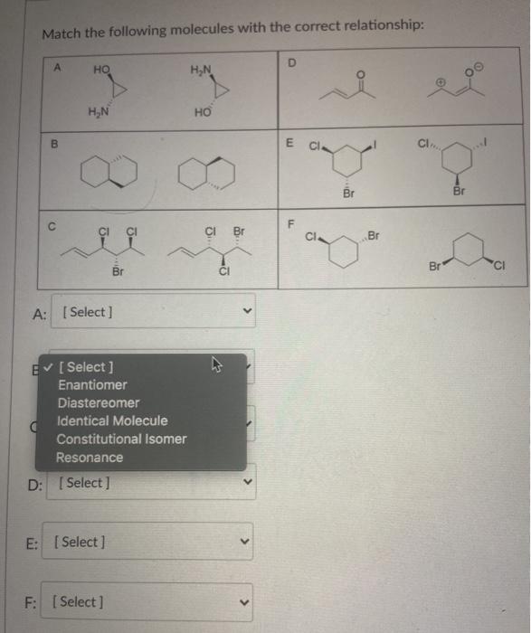 Solved Match the following molecules with the correct | Chegg.com