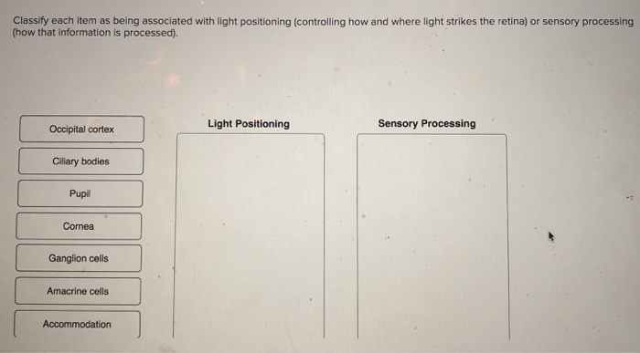 Solved Classify each item as being associated with light | Chegg.com