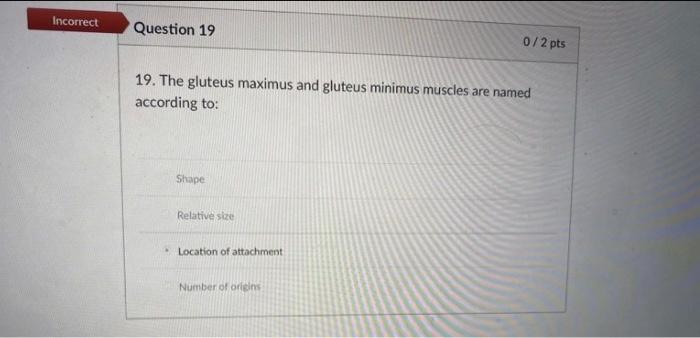 Solved Need help with both of these multiple choice | Chegg.com