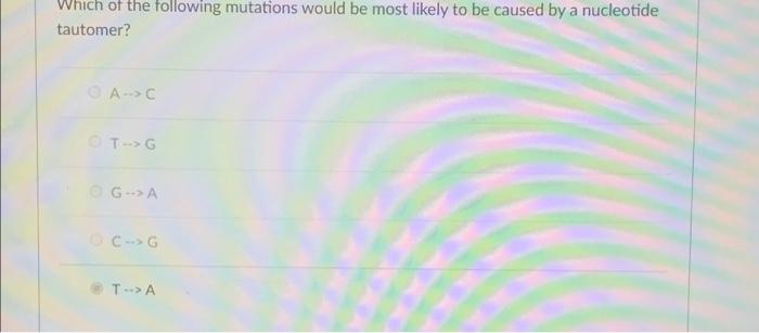 Solved Which of the following mutations would be most likely | Chegg.com