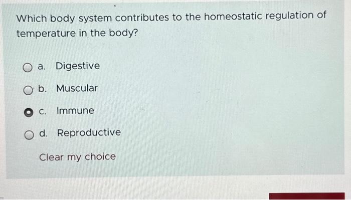 Solved Why do hormones bind to plasma proteins? a. To | Chegg.com