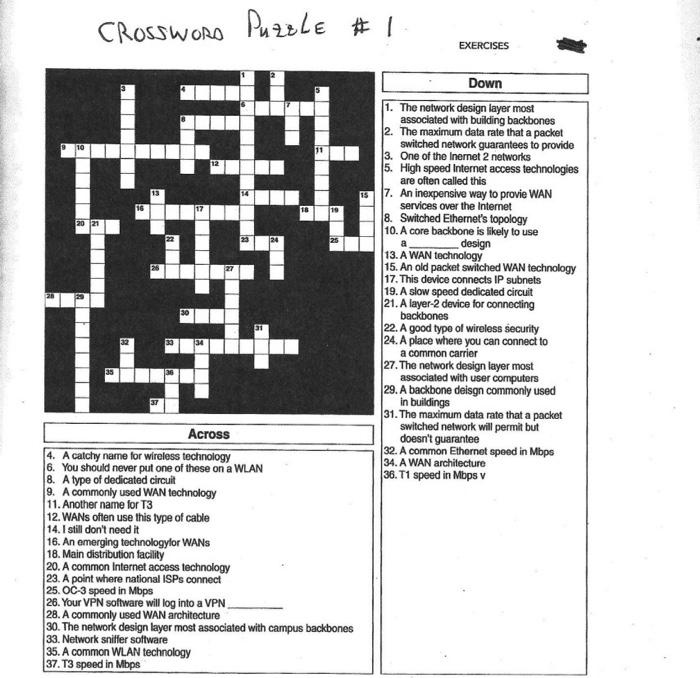 Solved CROSSWORD PuzzLe #1 EXERCISES Down 1 The network Chegg com