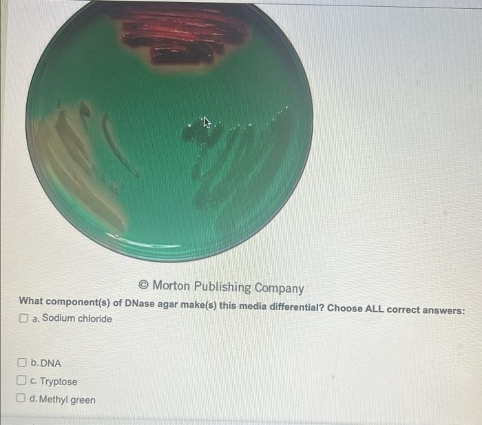 Solved a-hemolysis means: a. Red blood cells are not lysed | Chegg.com