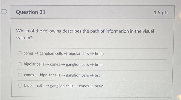 Solved Question 31 1.5 pts Which of the following describes | Chegg.com