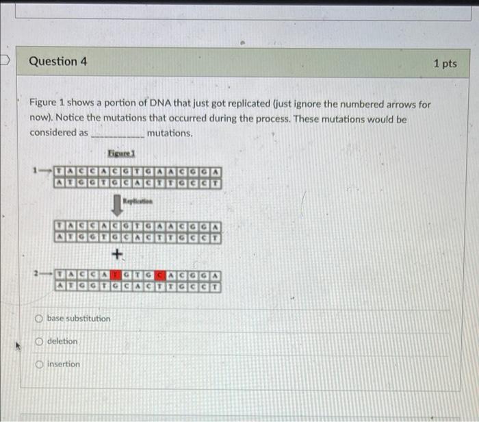 Solved Question 4 1 pts Figure 1 shows a portion of DNA that | Chegg.com