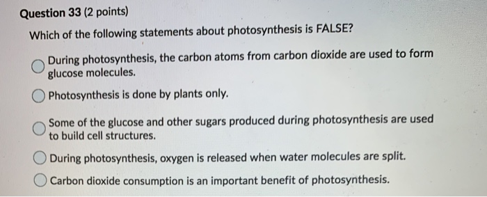 Which Of The Following Statements About Photosynthesis Is False