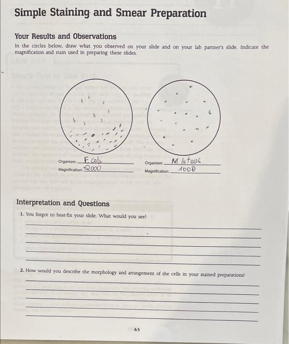 Solved This is a microbiology lab exercise. If you have come | Chegg.com