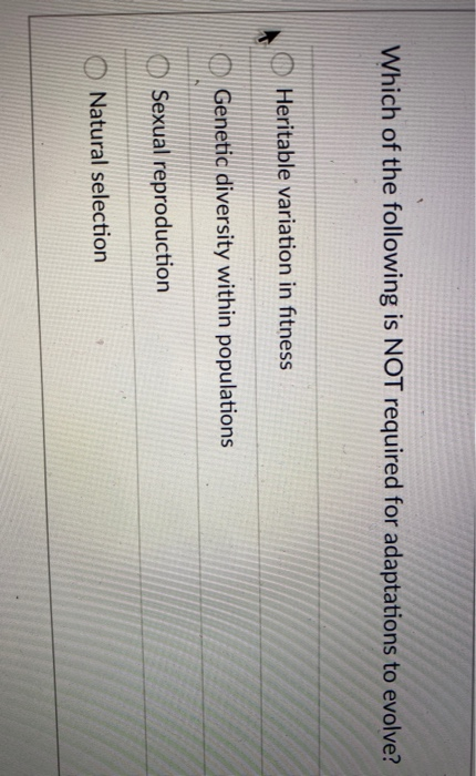 Solved Which Of The Following Is Not Required For | Chegg.com Solved Which Of The Following Is Not Required For | Chegg.com