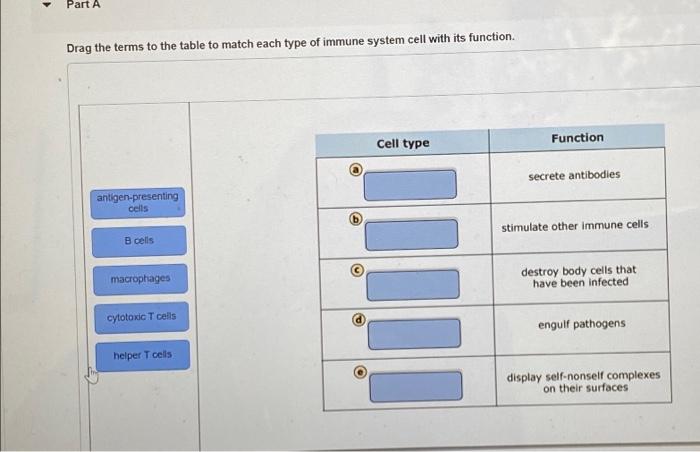 Solved Part A Drag the terms to the table to match each type | Chegg.com