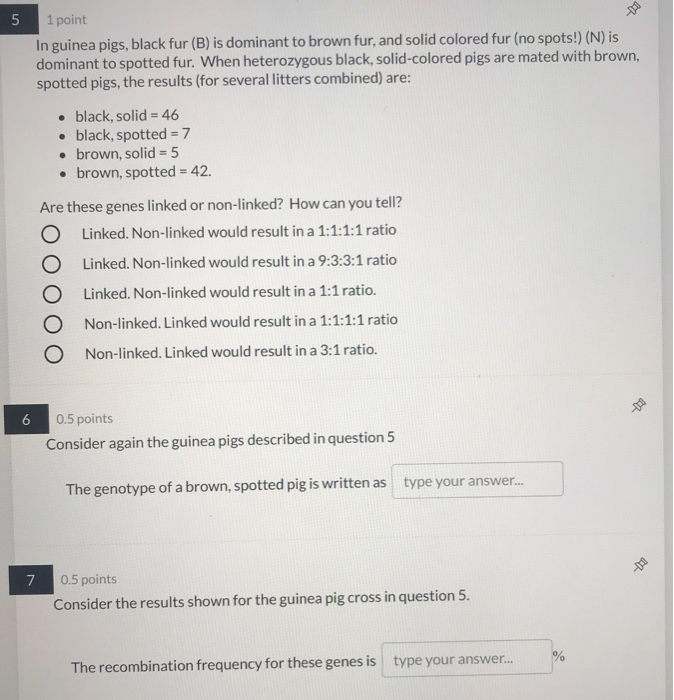 Solved 5 1 Point In Guinea Pigs, Black Fur (B) Is Dominant | Chegg.com