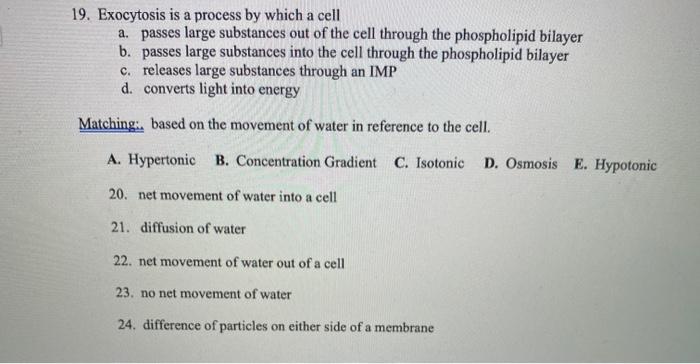 Solved 19 Exocytosis Is A Process By Which A Cell A Passes Chegg Com