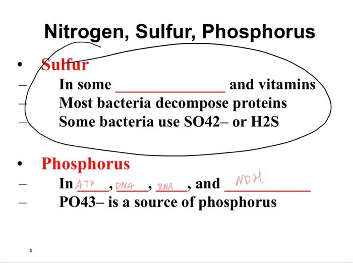 - Phosphorus
- In ATH, , oNA , ENA , and
- \( \quad \) PO43- is a source of phosphorus