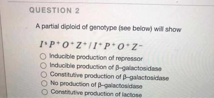 Solved Question 2 A Partial Diploid Of Genotype See Belo Chegg Com