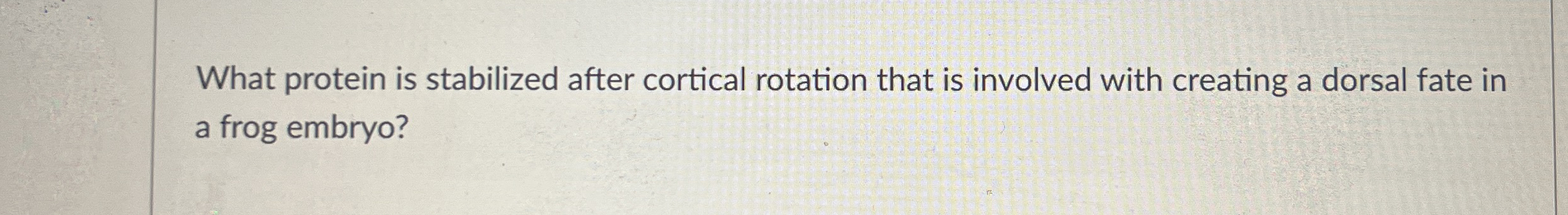What protein is stabilized after cortical rotation | Chegg.com