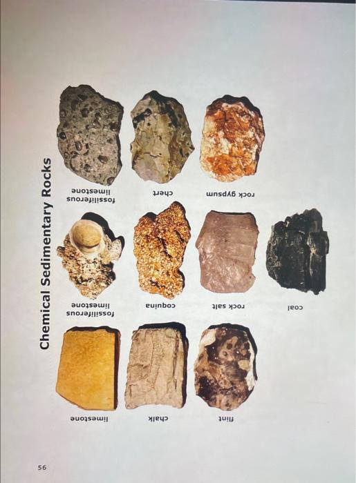 Solved Lab 10: Rocks and Rock Identification In this fob you | Chegg.com