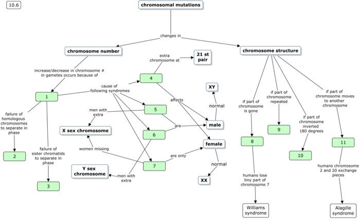 Solved 10.6 chromosomal mutations changes in chromosome | Chegg.com