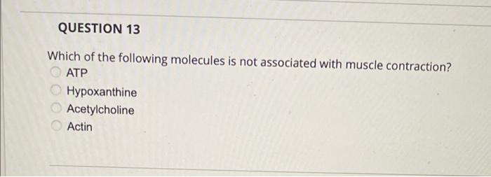 QUESTION 13
DOO
Which of the following molecules is not associated with muscle contraction?
ATP
Hypoxanthine
Acetylcholine
Ac