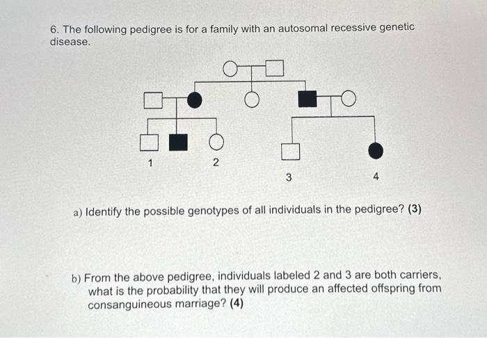 Solved 6. The following pedigree is for a family with an | Chegg.com
