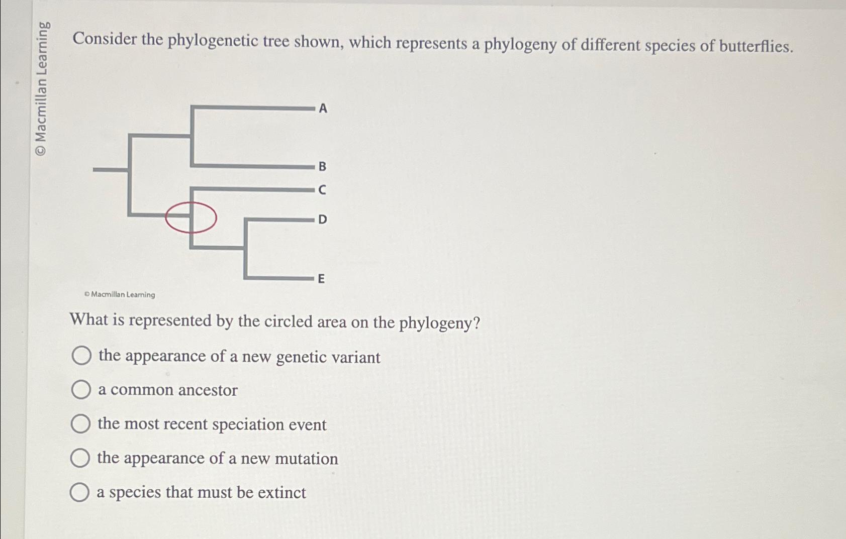 Solved Consider The Phylogenetic Tree Shown, Which | Chegg.com