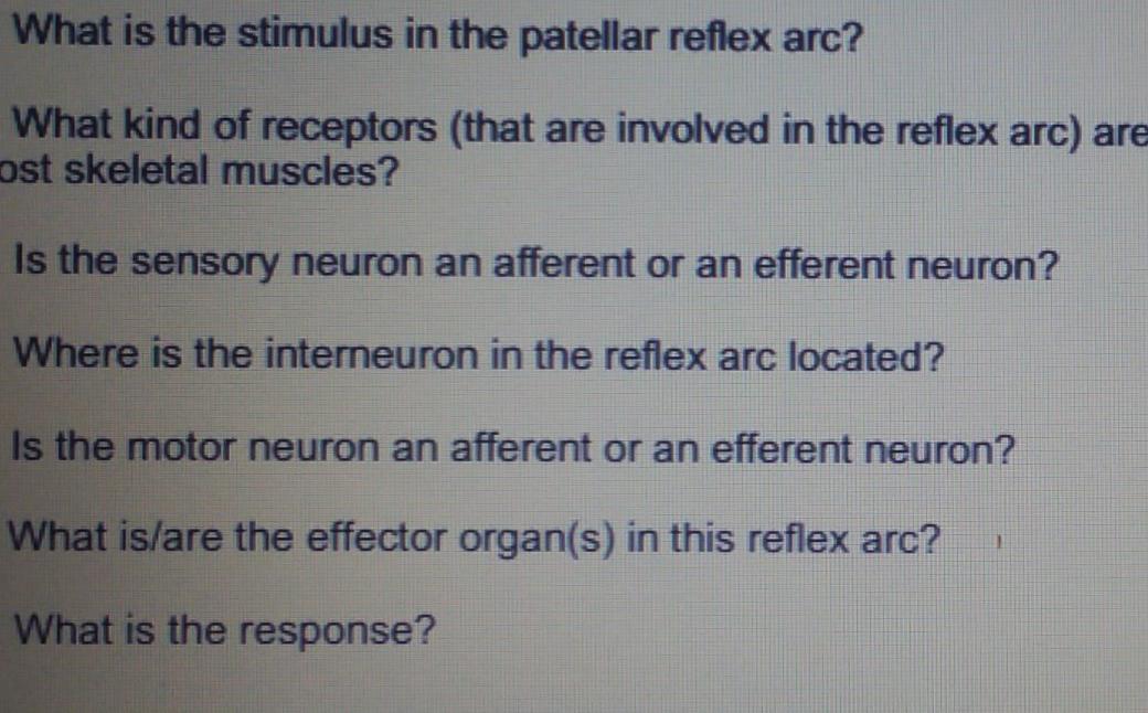 Solved What is the stimulus in the patellar reflex arc? What | Chegg.com