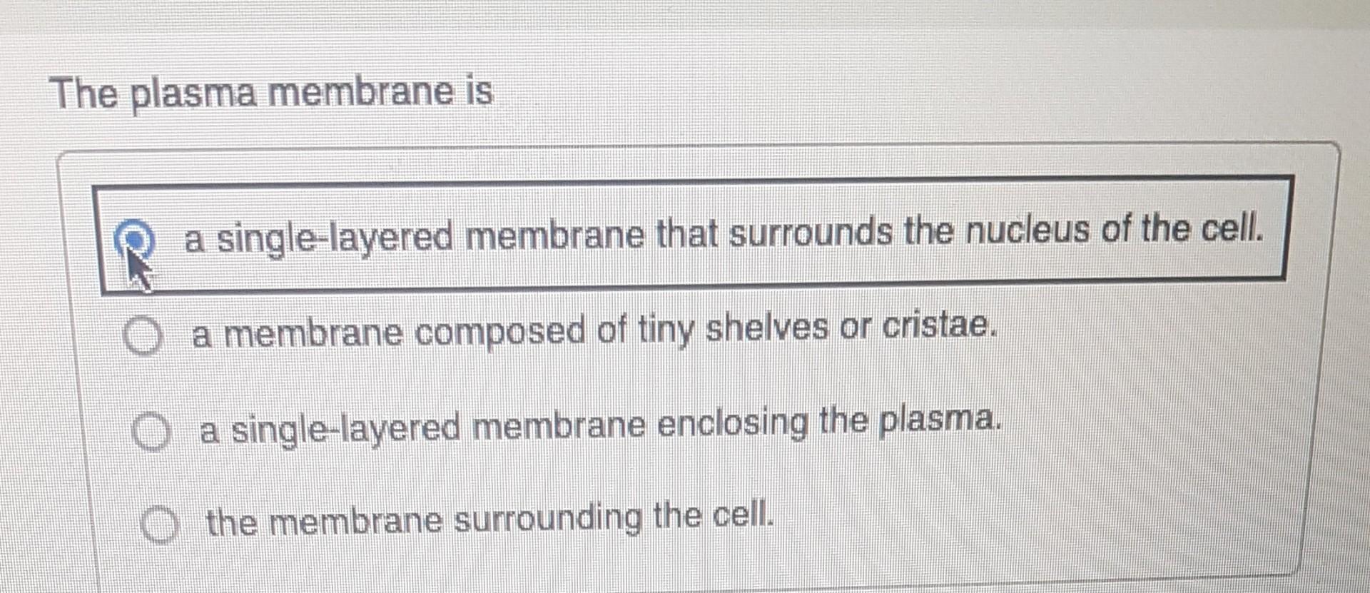 Solved The plasma membrane is a single-layered membrane that | Chegg.com